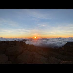 Meet your Posher, Jolie